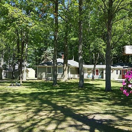 Hidden Haven Cottages Lake City 外观 照片